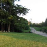 Porast polena trave i koprive 8