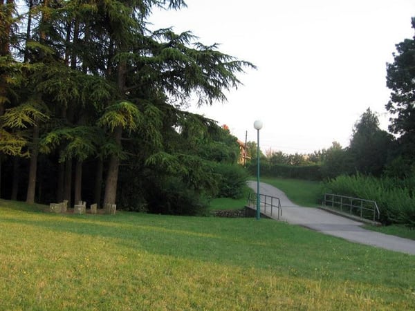 Porast polena trave i koprive 1