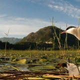 Reke od značaja za stotine hiljada ljudi 14