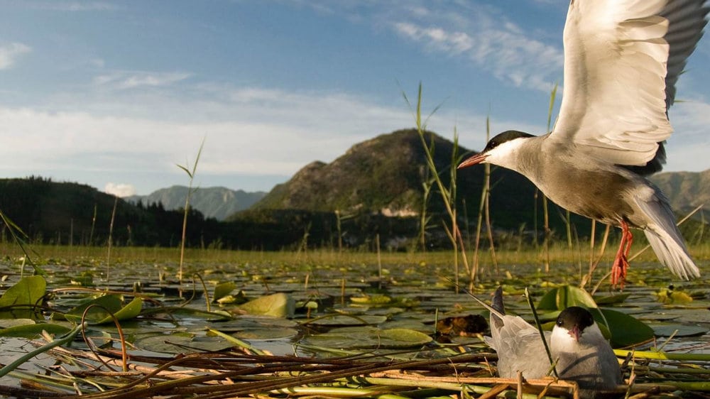 Reke od značaja za stotine hiljada ljudi 1