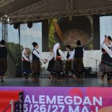 Bela Palanka se u najboljem svetlu predstavila na ‘’Beogradskom manifestu’’ 4