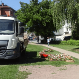 Uhapšen Vlasotinčanin zbog nasilja u porodici 7