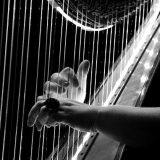 Počinje 17. Međunarodni festival harfe 4