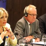 Joksimović: Srbija ostvarila napredak ka članstvu EU 7