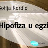 Roman-rafal plemenitosti i prkosa 13