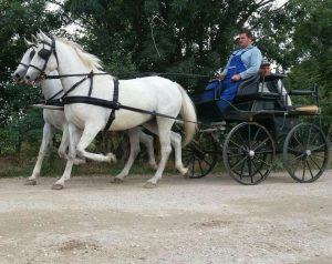 Predrag Milanović: Jasna i stalno prisutna vizija 3