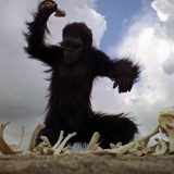 Neću da budem Sara Konor 1