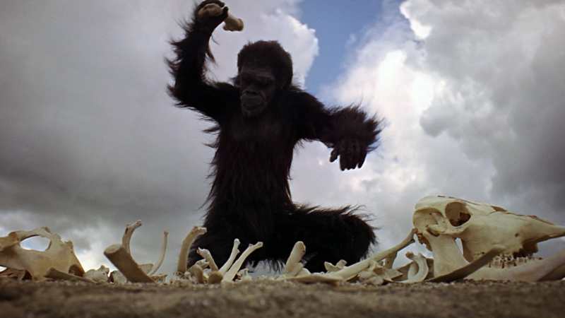 Neću da budem Sara Konor 1