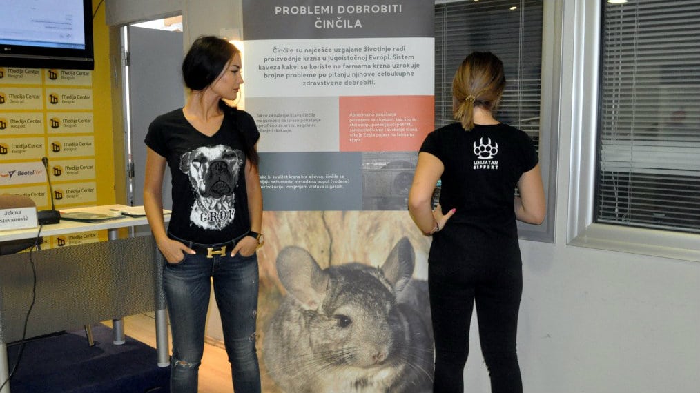 Uzgajanje činčila radi krzna predstavlja razvoj crne ekonomije 1