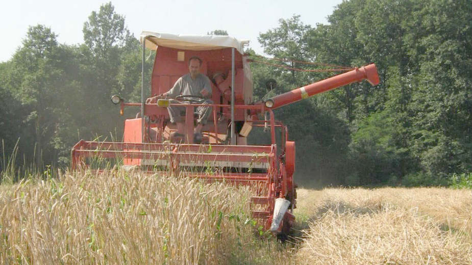 Oranice obećavaju dobar rod 1