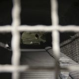 Iran ponovo otvorio nuklerano postrojenje 9