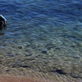 Čišćenje mora od nafte u Istri 15