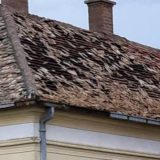 Stoprocentna šteta u Lozoviku, Goloboku, Vlaškom Dolu… 11