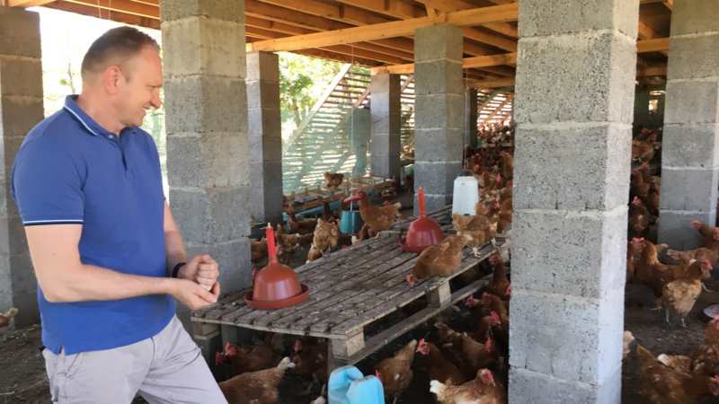 Sa Đilasom među kokoškama i jabukama 1