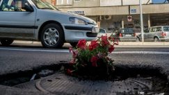 Građani Niša zasadili cveće u udarne rupe (FOTO) 4