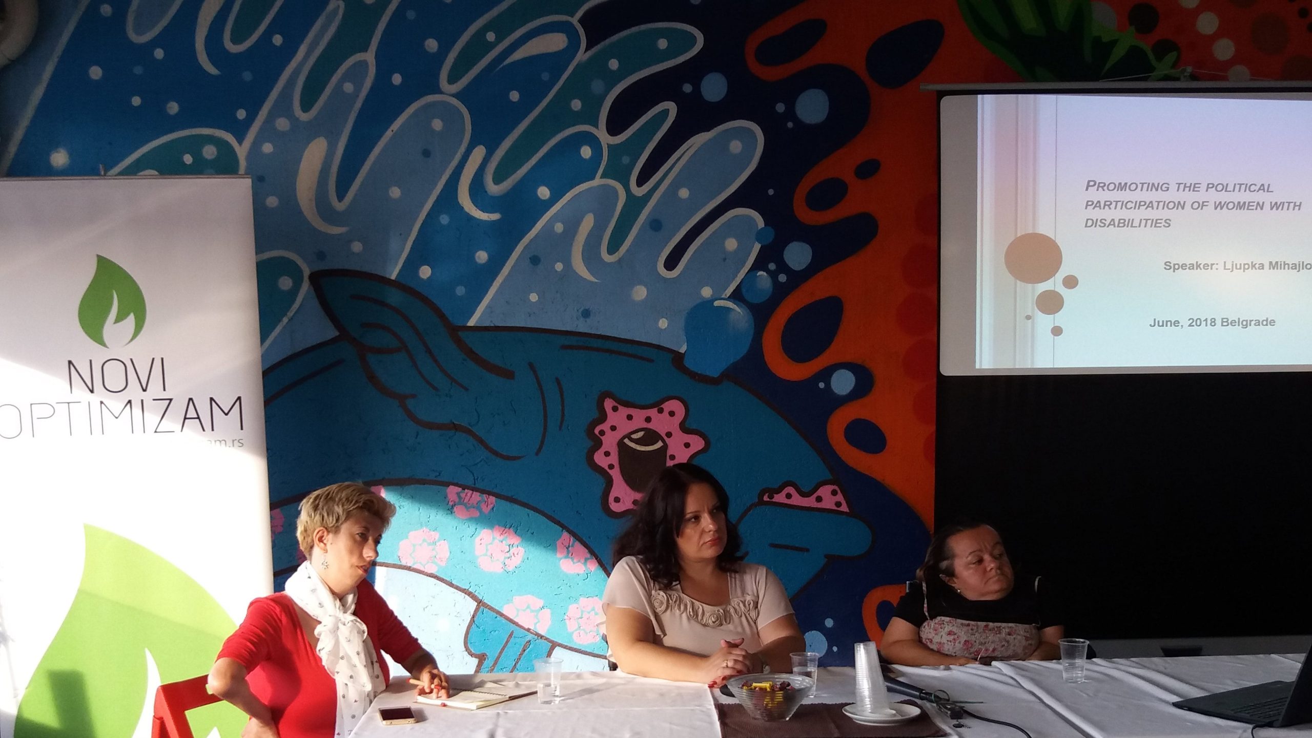 Potrebne kvote za ulazak osoba sa invaliditetom u skupštinu 1