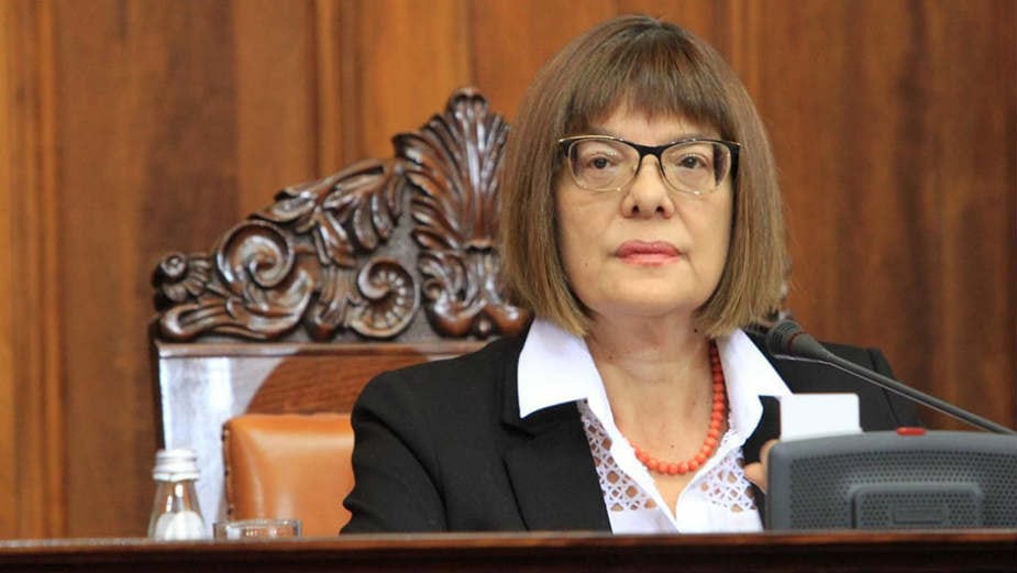 Stamenković: Maja Gojković glumi velikog brata 1