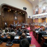 Uspeh referenduma ne zavisi od opozicije 8