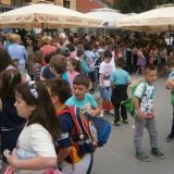 Škole u "Super raspustu" samo preko tendera 13