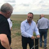 Šormaz: Nema opasnosti od svinjske kuge 12