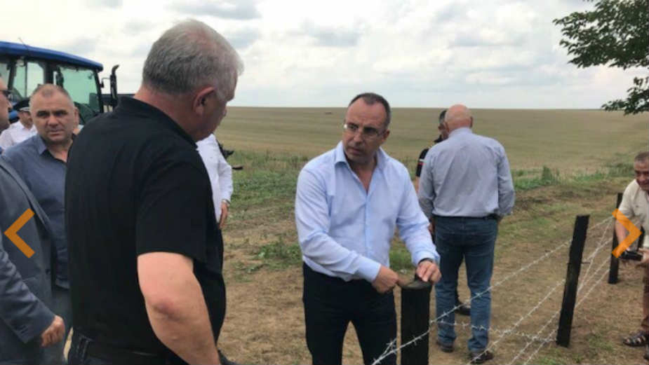 Šormaz: Nema opasnosti od svinjske kuge 1