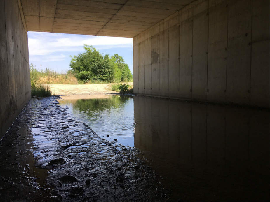 Uštede pri izgradnji auto-puta opasnost u slučaju poplava? 2 Uštede pri izgradnji auto-puta opasnost u slučaju poplava? 2