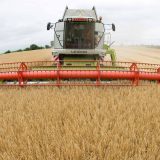 Stranci među najvećim vlasnicima zemlje u Srbiji 12