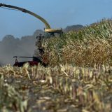 Srbiji se ne isplati da uvodi kontramere Prištini 10