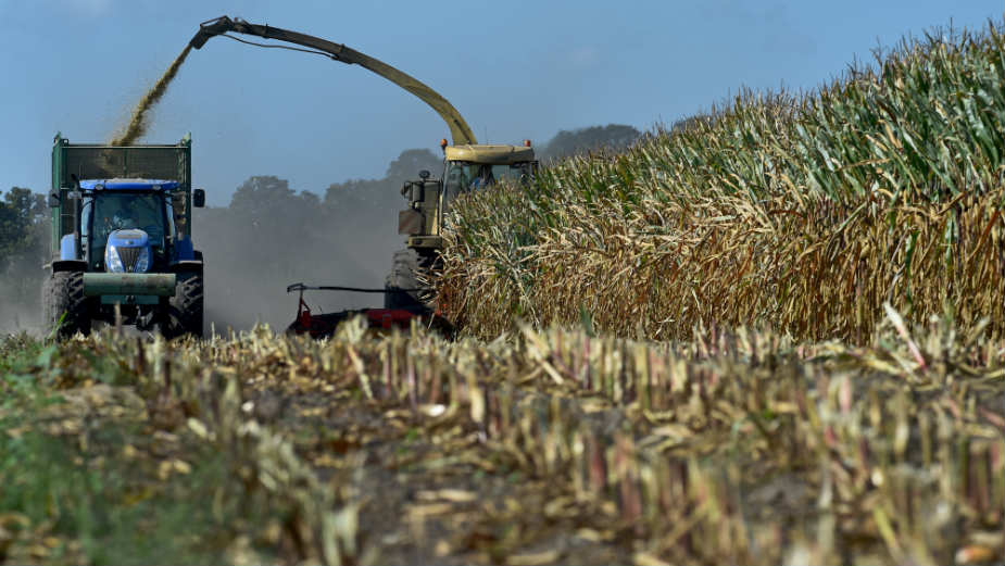 Srbiji se ne isplati da uvodi kontramere Prištini 1