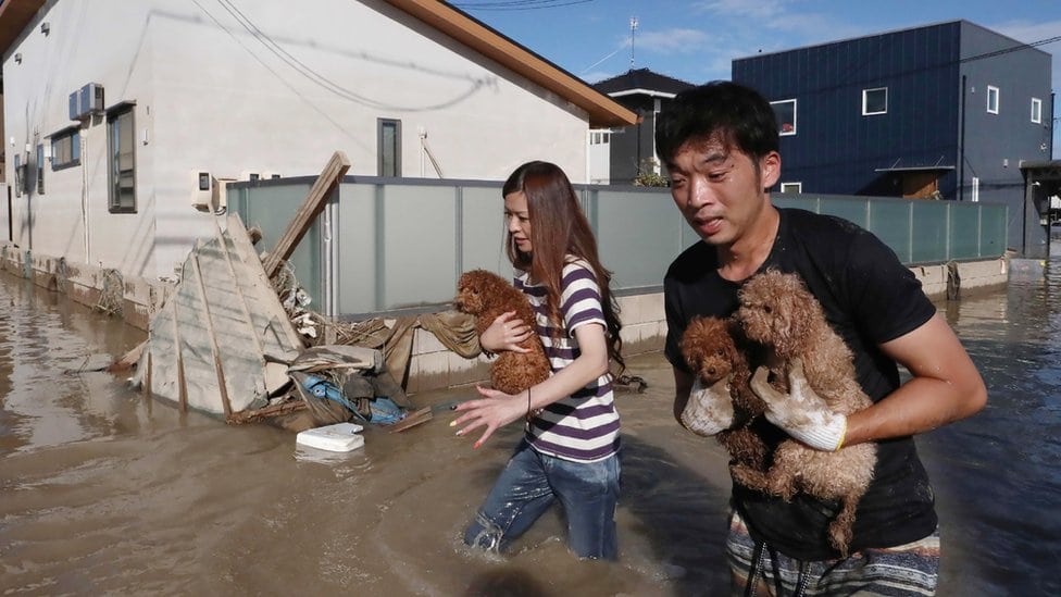 Stanovnici prefekture Okajama spašavaju pse od poplave