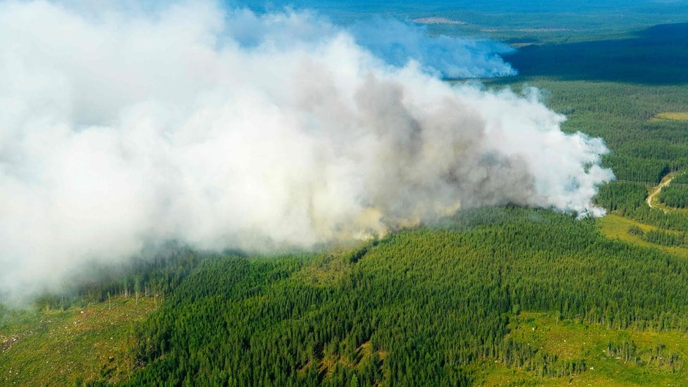 Fotografija pokazuje šumu koja gori u blizini Ljusdala u Švedskoj 18. juna 2018.