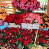 Primena standarda EU 5