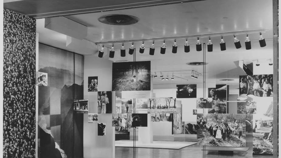 Pred slikom porođaja i smrti 1