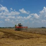 Dug kišni period umanjio prinose 7