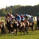 Najbrži galoperi na najboljoj stazi u Srbiji 10