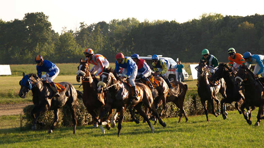 Najbrži galoperi na najboljoj stazi u Srbiji 1 Najbrži galoperi na najboljoj stazi u Srbiji 1