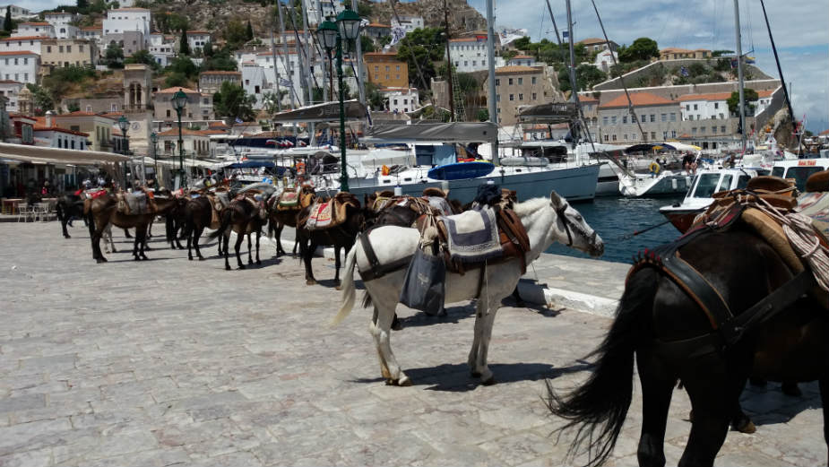 Hidra (2): Nebo nad Peloponezom 1