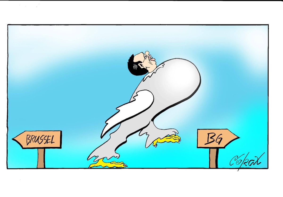 Corax 5