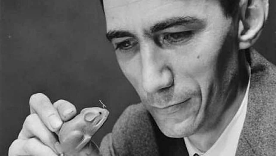 Bitovi Kloda Šenona 1