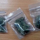 Na Gradini pronađena marihuana 4