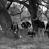 Američki bend The Family Sowell u Smederevu 11