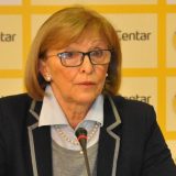 Petrović: Venecijanska komisija ne piše članove Ustava već daje mišljenje 6