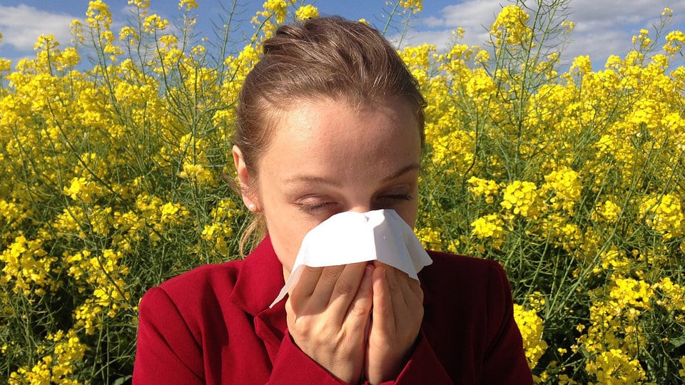 Kako se zaštititi od alergija? 1