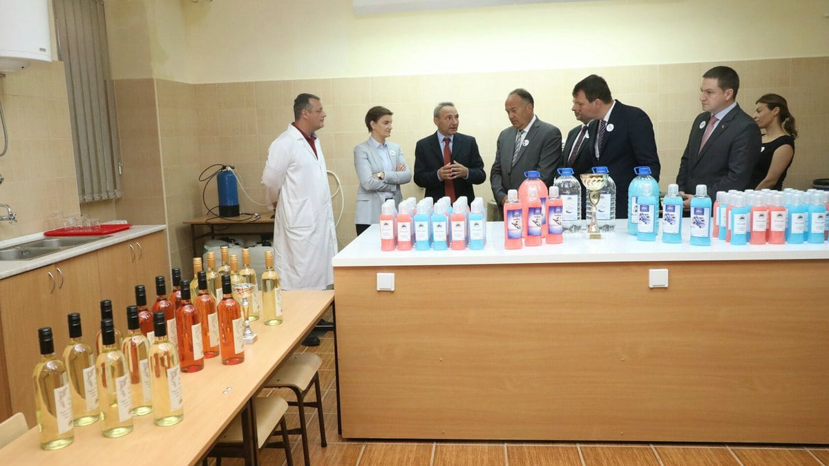 Brnabić: U prvih godinu dana Vlade u obnovu škola uloženo više od 433 miliona dinara 1