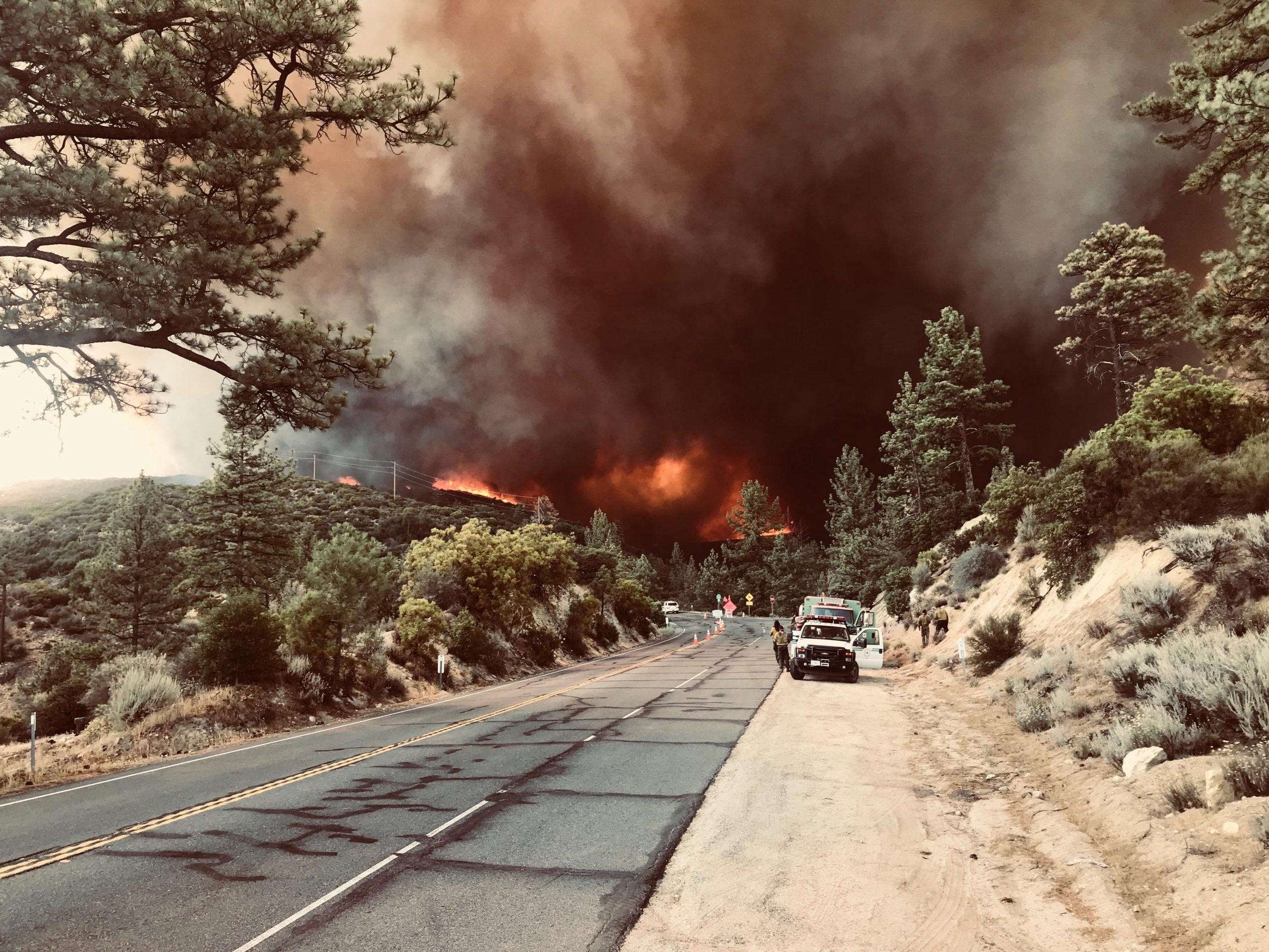 Kalifornija: Izgorele stotine kuća 1