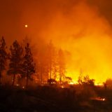 Kalifornija: Šest žrtava i hiljade evakuisanih zbog požara 9