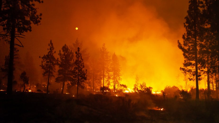 Kalifornija: Šest žrtava i hiljade evakuisanih zbog požara 1