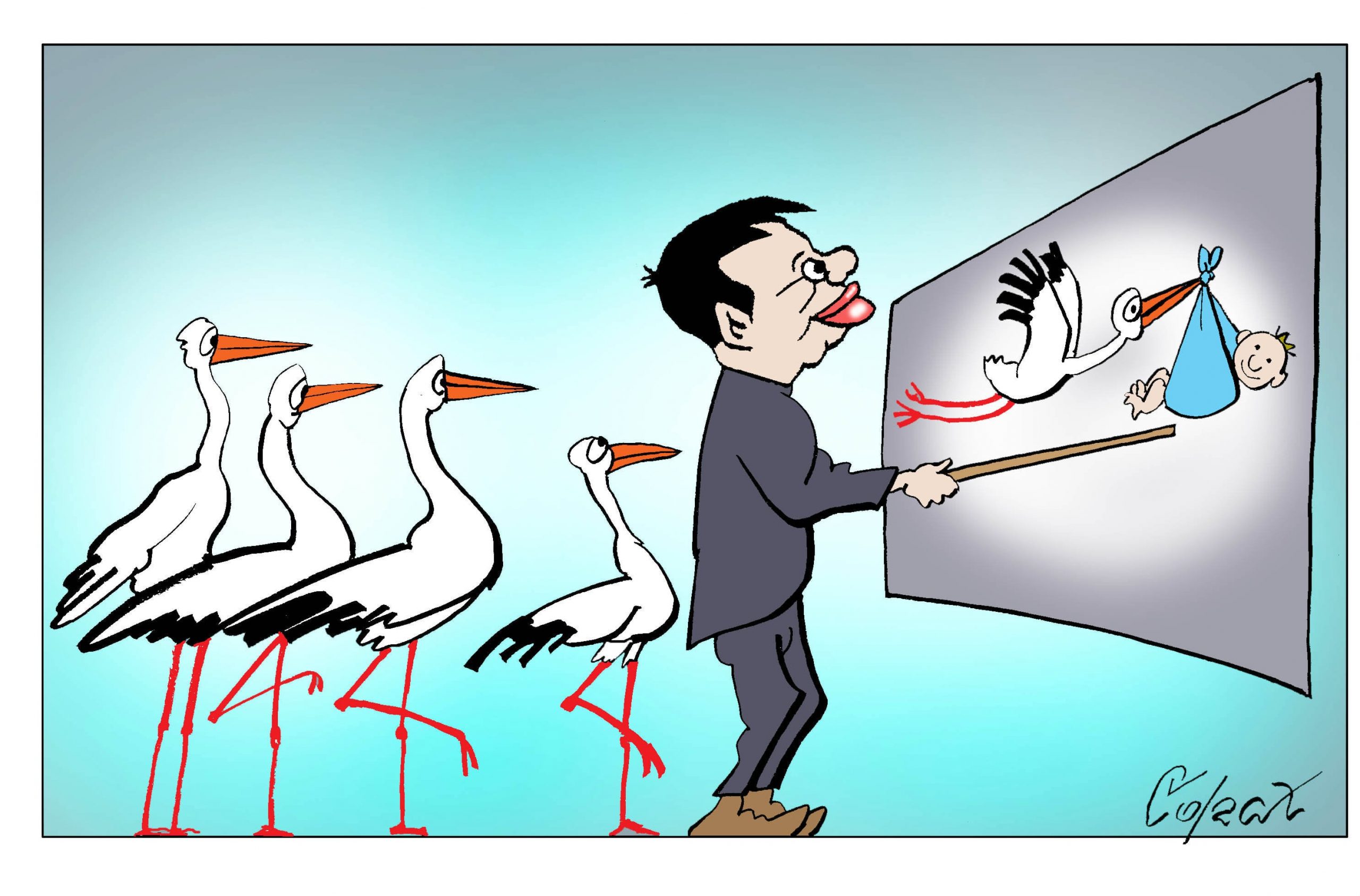 Corax 13