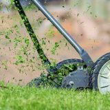 Veliko Gradište: Visoke kazne za parlog 15