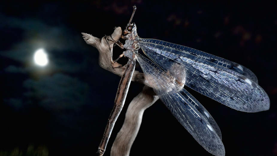 Fotograf u carstvu Prirode 1 Fotograf u carstvu Prirode 1